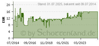 Preistrend fr THE TOY COMPANY RC Fahrzeug Racer Sportfahrzeug 1:16 (33629761)