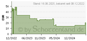 Preistrend fr Iceberg Thermal IceGALE Xtra Lfter schwarz 2er Pack (ICEGALE14X-C2A)