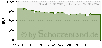 Preistrend fr Garmin fenix 8 47 mm Amoled Schwarz/Schiefergrau Smart Watch (010-02904-00)